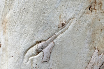 P1011157a.jpg